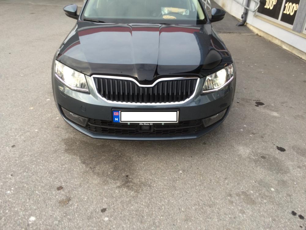 Skoda fram.jpg