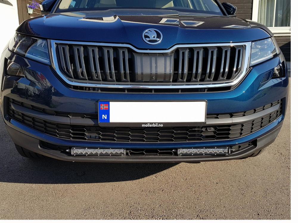 kodiaq ekstralys.jpg